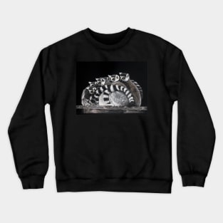 Huddle Up Crewneck Sweatshirt